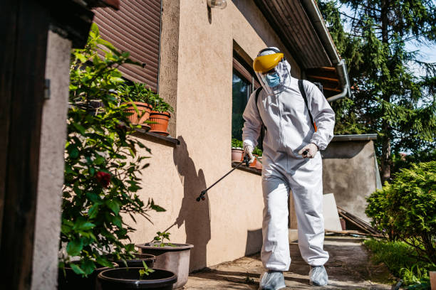 Best Best Pest Control Companies  in Crossett, AR
