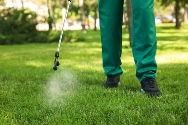 Pest Control for Restaurants in Crossett, AR