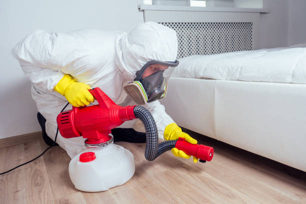 Best Pest Inspection Near Me  in Crossett, AR
