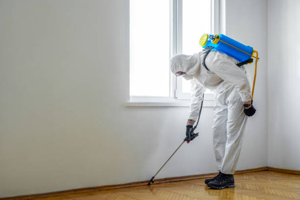 Best Local Pest Control Services  in Crossett, AR