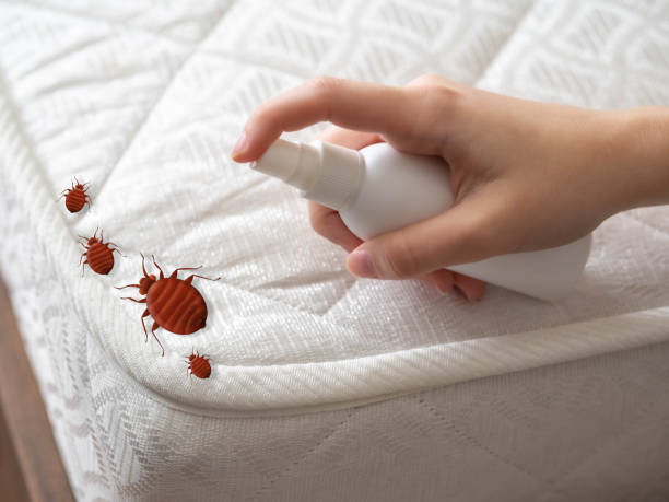 Best Pest Removal Services  in Crossett, AR