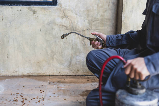 Best Residential Pest Control  in Crossett, AR