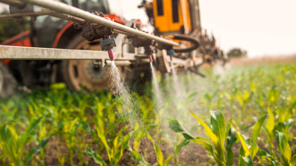 Reliable Crossett, AR Pest Control Solutions